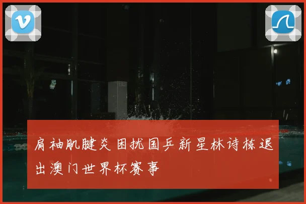 肩袖肌腱炎困扰国乒新星林诗栋退出澳门世界杯赛事